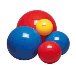 Gymnic Exercise Ball -Sports Series Store 109 5500 Gruppe