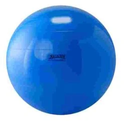 Gymnic Exercise Ball -Sports Series Store 109 5526